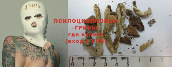 стафф Мегион