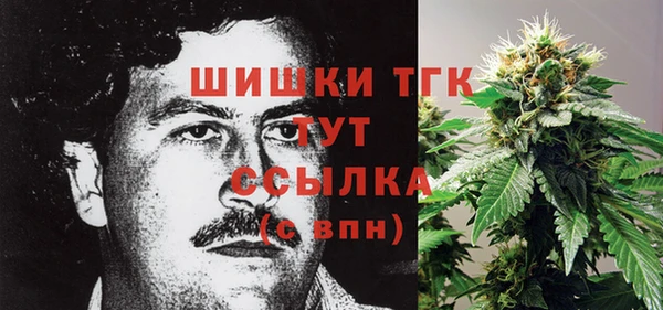 сатива Медвежьегорск
