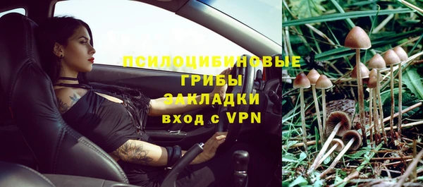 стафф Мегион