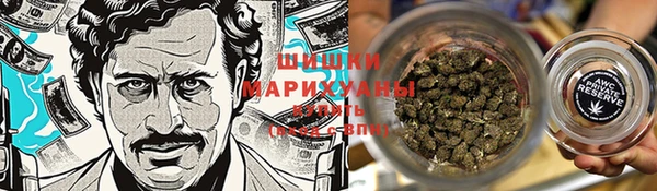 стафф Мегион
