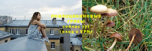 стафф Мегион