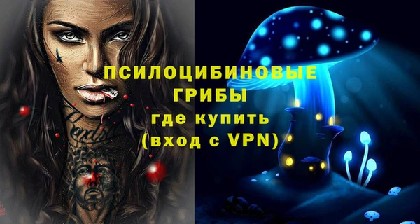 стафф Мегион
