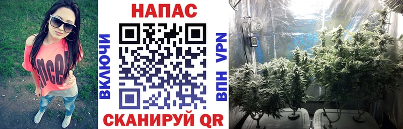 Марихуана марихуана Зеленодольск